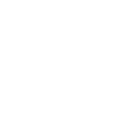 REINTEGRA